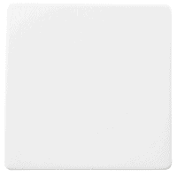 Assiette carrée Dudson 3PLW-201G