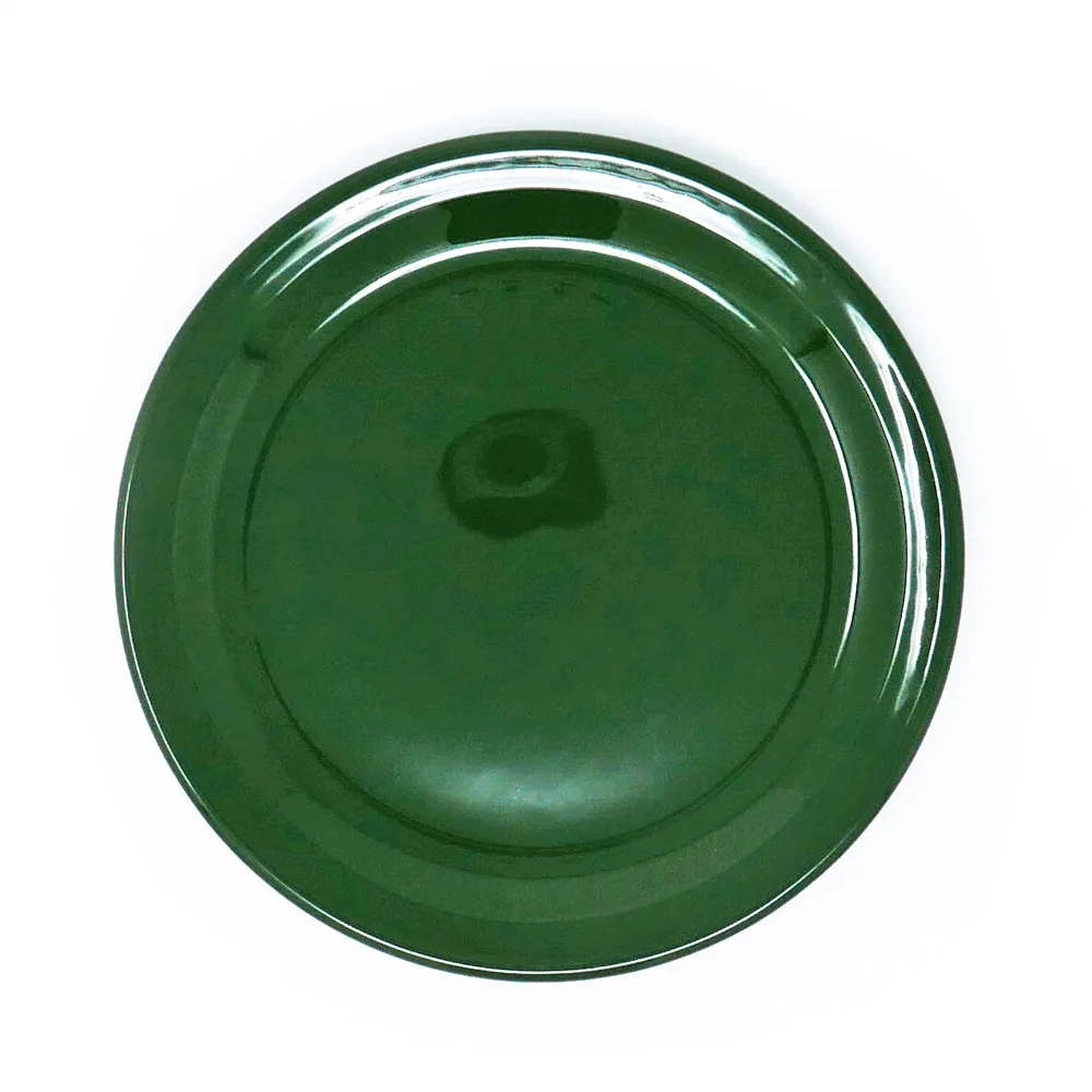 Assiette plate Dudson Paintbox Dark green - 7 po · 36/caisse