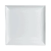 Assiette carrée Steelite 6900-E541