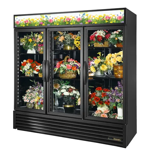 Porte vitrée True GDM-72F