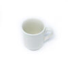 Dudson 3PWS090S