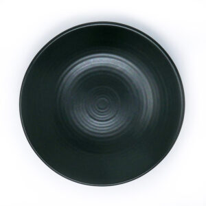 Dudson EVOJPD241